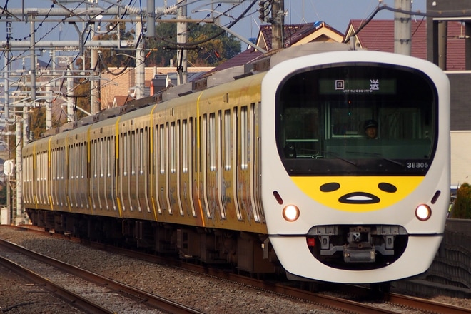 【西武】30000系38105F「ぐでたまスマイルトレイン さよならイベント電車」 を清瀬～秋津間で撮影した写真