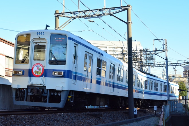 【東武】8000系8565F 賀正ヘッドマーク掲出を西新井～大師前間で撮影した写真