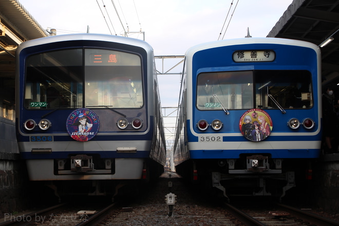 【伊豆箱】3000系3502編成「刀剣乱舞-ONLINE-コラボ電車」を大場駅で撮影した写真
