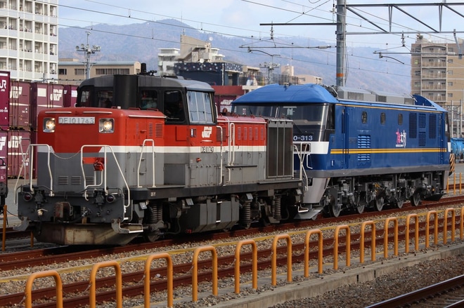 【JR貨】EF210-313甲種輸送を鷹取駅で撮影した写真