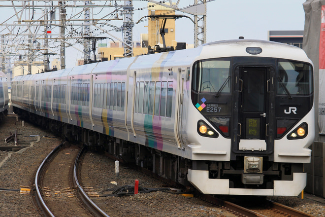 【JR東】「成田山初詣やまなし号」運転 (2019)を市川駅で撮影した写真