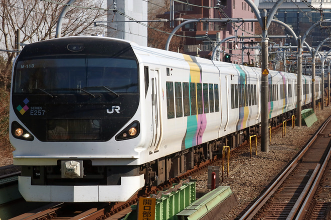 【JR東】E257系モトM-113編成幕張疎開返却回送を千駄ケ谷駅で撮影した写真