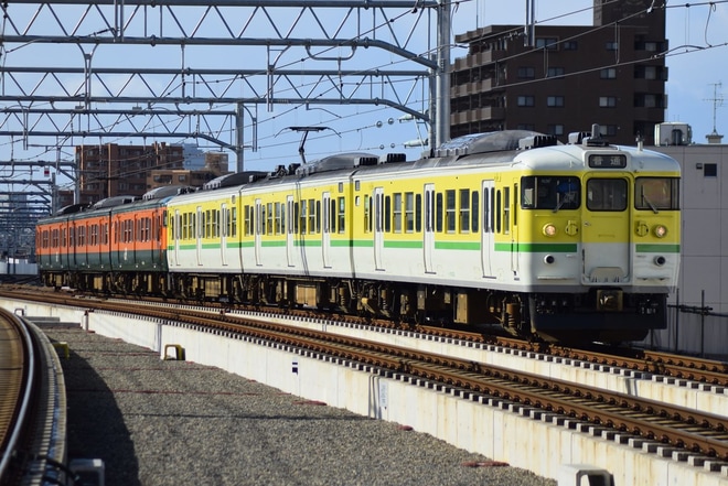 【JR東】115系N36編成（弥彦色）運用復帰を新潟駅で撮影した写真