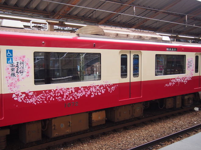 【京急】新1000形1065編成「河津桜とまぐろ満喫の旅」ラッピングを金沢八景駅で撮影した写真