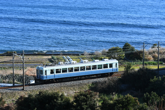 【伊豆急】100系 引退記念 団体貸切列車を今井浜海岸～伊豆稲取間で撮影した写真