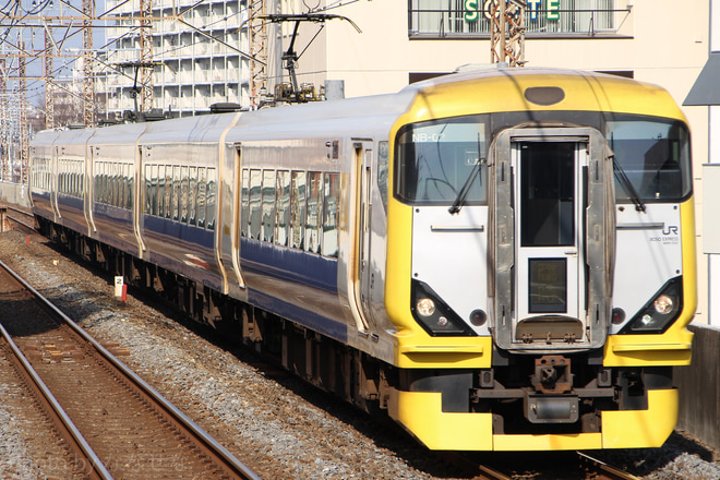 【JR東】特急「かつうらひな祭り号」運行(2019)を新松戸駅で撮影した写真