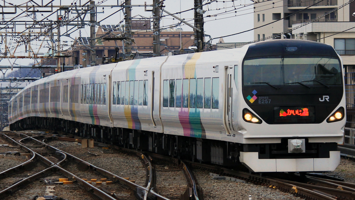 【JR東】E257系0番台 定期運用終了 |2nd-train鉄道ニュース