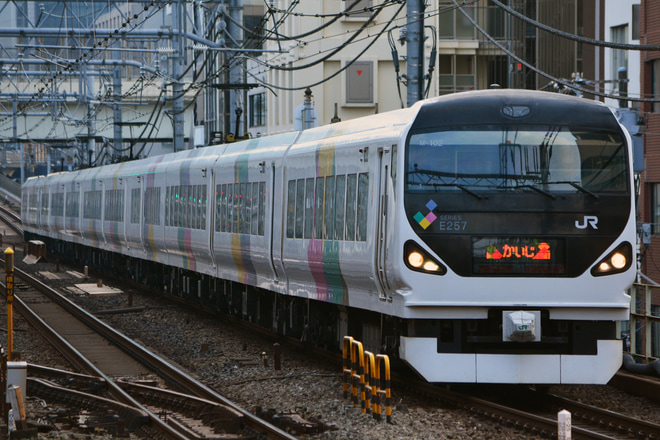 【JR東】E257系0番台 定期運用終了を神田駅で撮影した写真