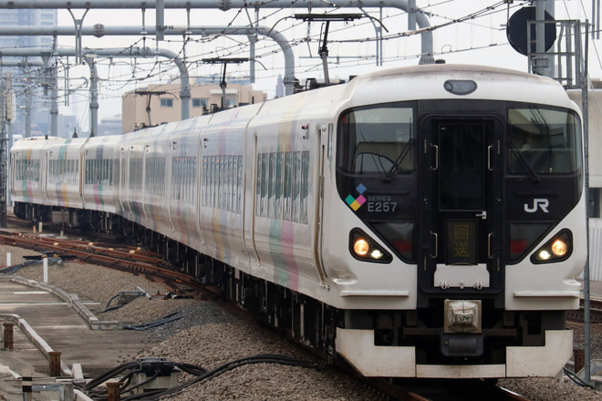 【JR東】E257系モトM-108編成 尾久疎開回送を武蔵小金井駅で撮影した写真