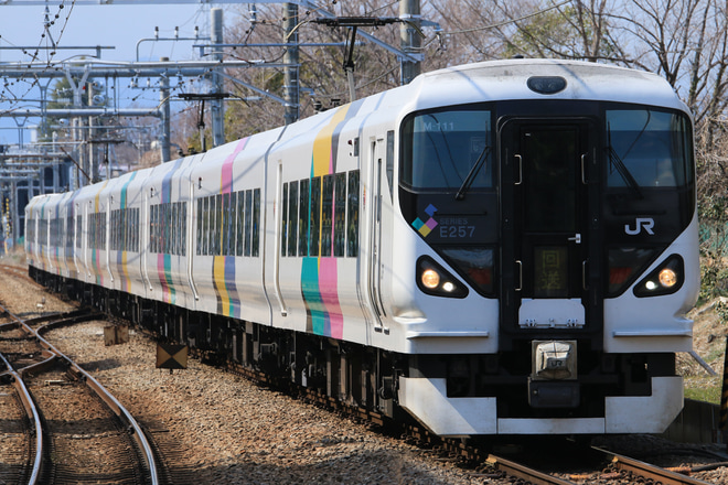 【JR東】E257系モトM-111編成東大宮操へ回送を西立川駅で撮影した写真