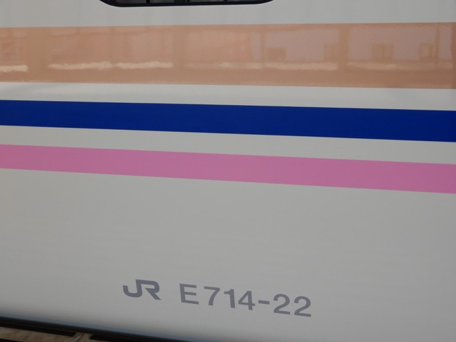 【JR東】E7系が上越新幹線「とき」でデビューを不明で撮影した写真
