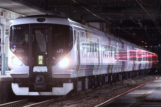 【JR東】E257M116編成越後石山へを新津駅で撮影した写真