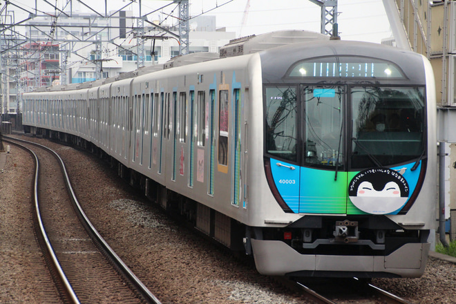 【西武】コウペンちゃんはなまるトレイン運行開始を綱島駅で撮影した写真