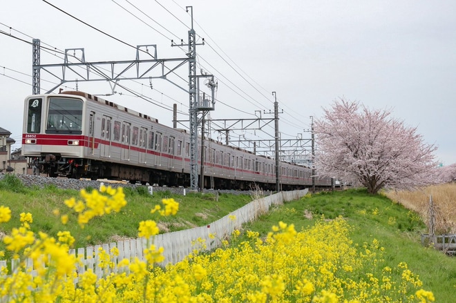 【東武】20000系21852F 廃車回送を不明で撮影した写真