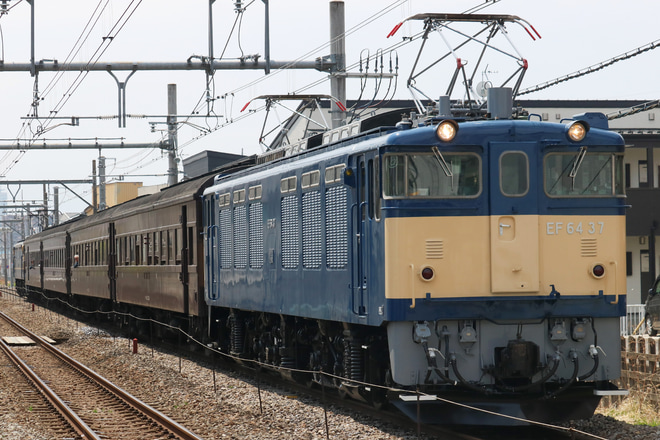 【JR東】団臨「憧れの「旧型客車」特別乗車体験」 運転を高崎問屋町駅で撮影した写真