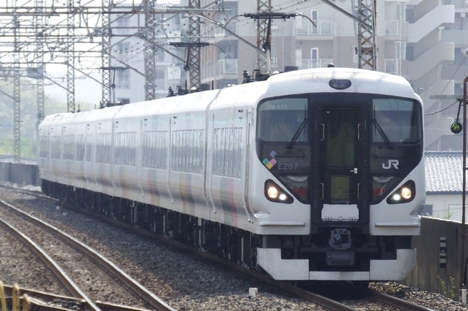 【JR東】E257系M-111編成東大宮操疎開を西浦和駅で撮影した写真