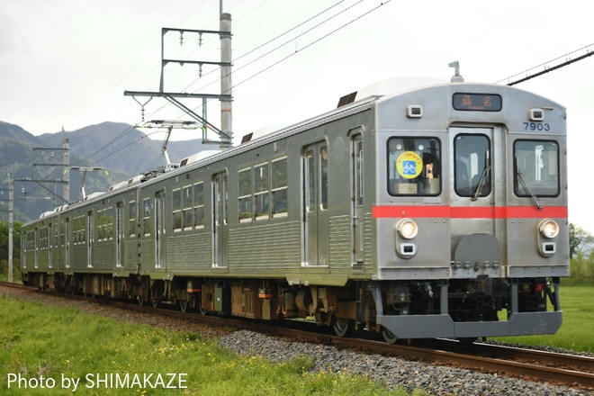 【養老】7700系「緑歌舞伎」「赤帯」 営業運転開始を美濃津屋～駒野間で撮影した写真