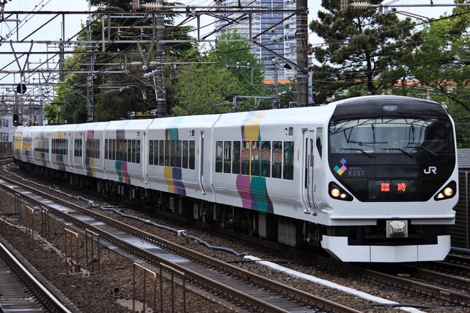 【JR東】特急「新宿さざなみ」 一部列車がE257系松本車で運転を西千葉駅で撮影した写真