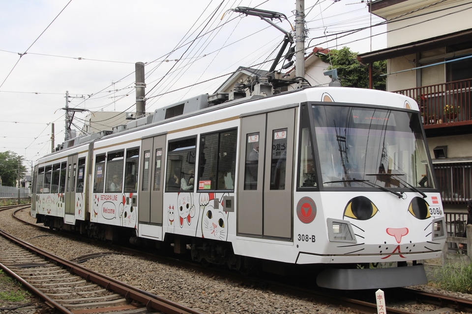 【東急】「幸福の招き猫電車」運行開始の拡大写真