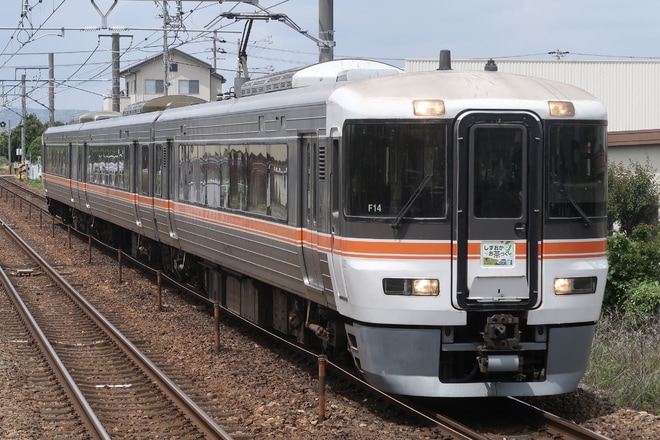 【JR海】373系使用の臨時急行「しずおかお茶づくし号」運転を六合駅で撮影した写真