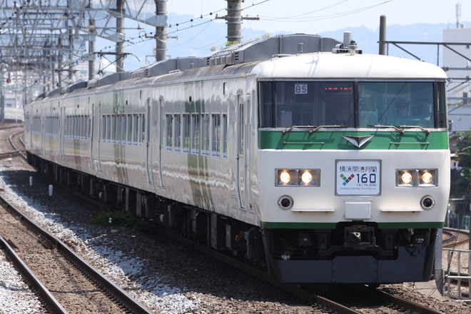 【JR東】185系「横浜セントラルタウンフェスティバルY160 記念列車の旅」を小田原駅で撮影した写真