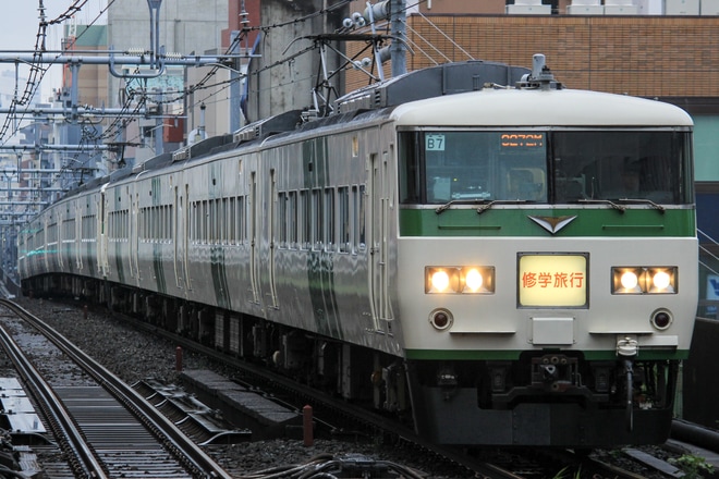 【JR東】185系B7+OM03編成使用 修学旅行臨を秋葉原駅で撮影した写真