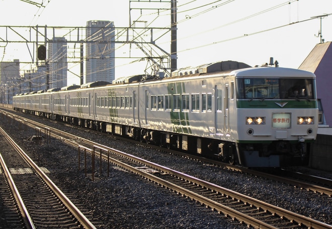 【JR東】185系B7+OM03編成使用 修学旅行臨を下総中山駅で撮影した写真