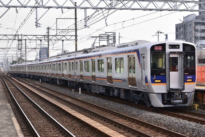 【南海】8300系8311F+8712Fが千代田工場へ回送を浜寺公園駅で撮影した写真