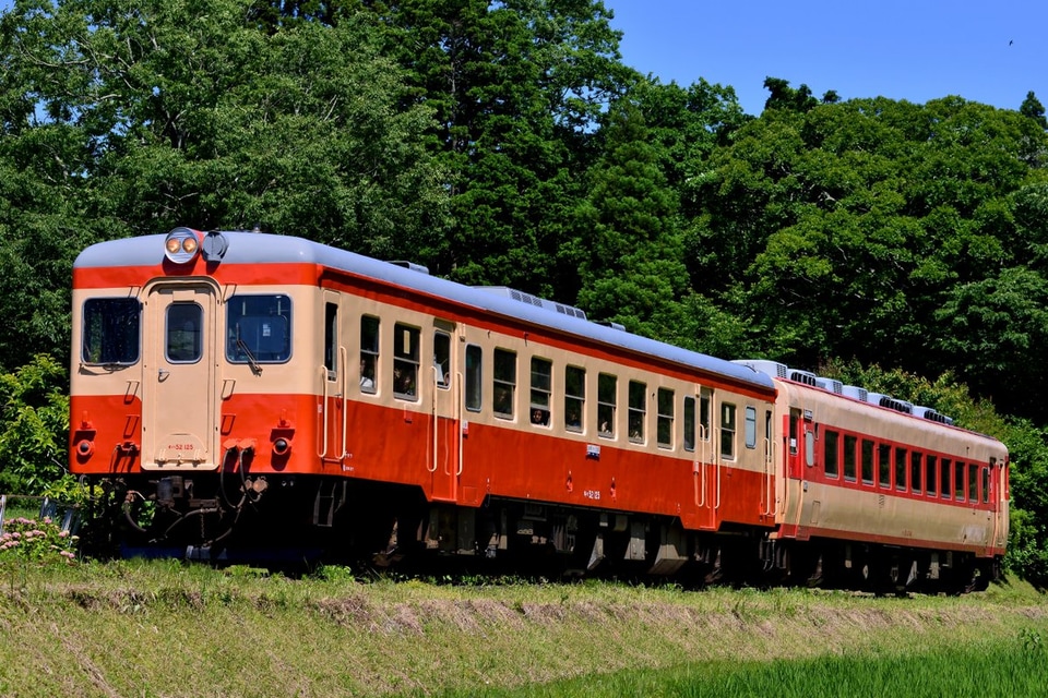 【いすみ】キハ52-125が国鉄一般色になり運用に復帰の拡大写真