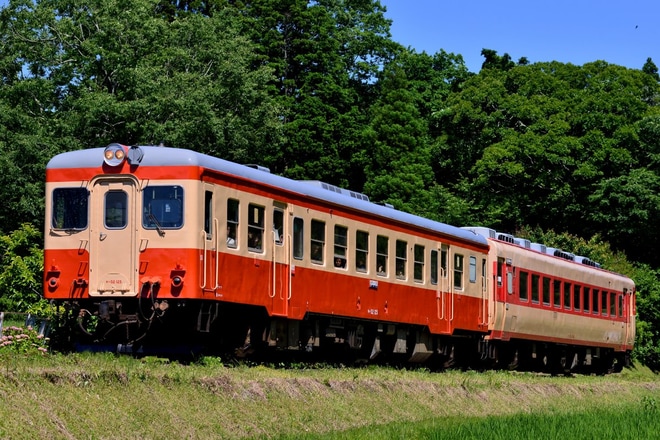 【いすみ】キハ52-125が国鉄一般色になり運用に復帰を不明で撮影した写真