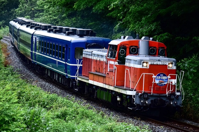 【JR東】DL青い12系客車号運転(2019)を山都～荻野間で撮影した写真