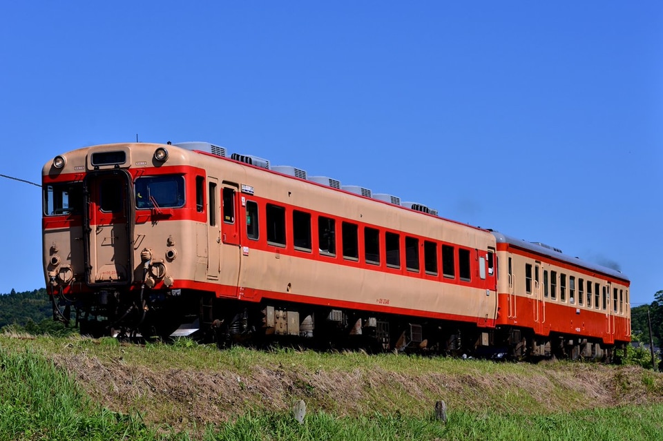 【いすみ】キハ52-125が国鉄一般色になり運用に復帰の拡大写真