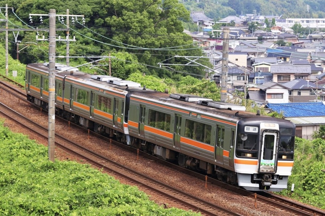 【JR海】大井川鐵道きかんしゃトーマス号リレートレインを金谷～島田間で撮影した写真