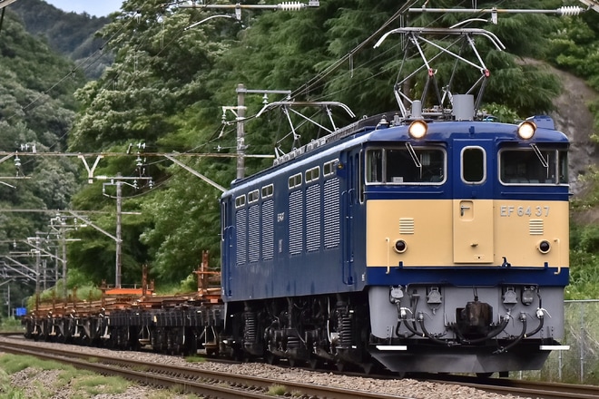 【JR東】EF64-37牽引 中央線系統工臨運転を不明で撮影した写真