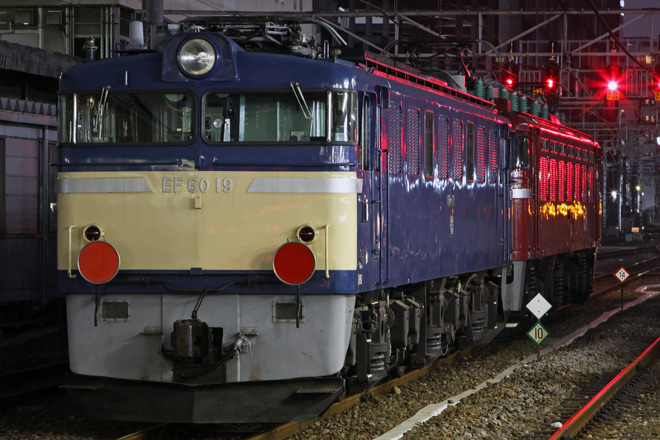 【JR東】EF60-19 秋田総合車両センターへ配給を高崎駅で撮影した写真