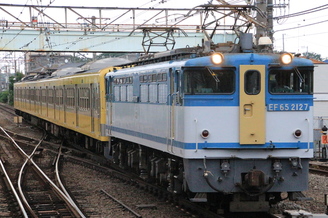 【西武】新101系249F(ツートンカラー）多摩川線へ甲種輸送を豊田駅で撮影した写真