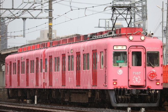【南海】7100系7187F めでたい電車「さち」が住ノ江へを浜寺公園駅で撮影した写真
