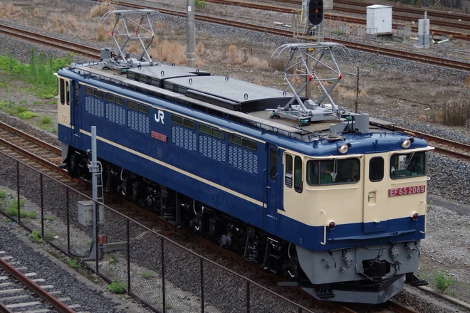 【JR貨】EF65-2089国鉄色になり構内試運転を鉄道博物館で撮影した写真