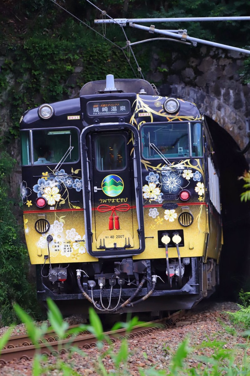 【JR西】新観光列車「うみやまむすび」デビューの拡大写真