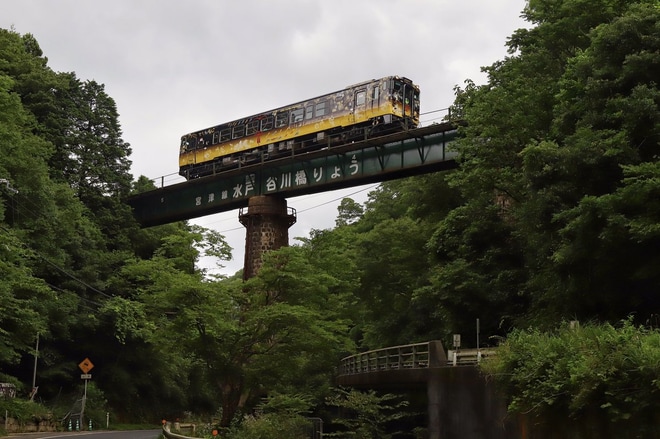【JR西】新観光列車「うみやまむすび」デビューを不明で撮影した写真
