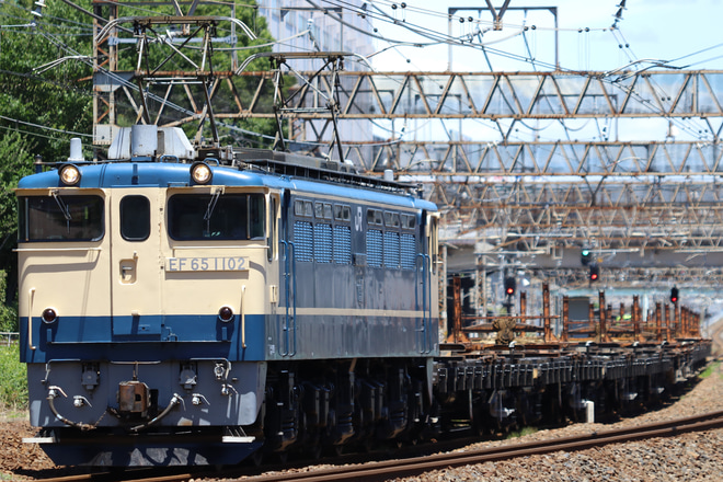 【JR東】EF65-1102牽引新津工臨返空を馬橋～北松戸間で撮影した写真