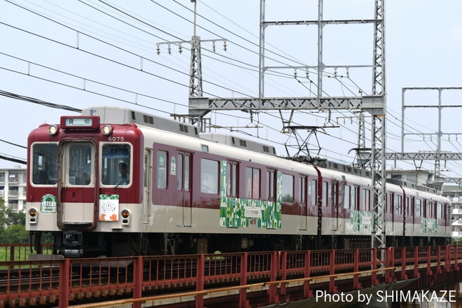 【近鉄】「こふん列車」運行中を矢田～河内天美間で撮影した写真