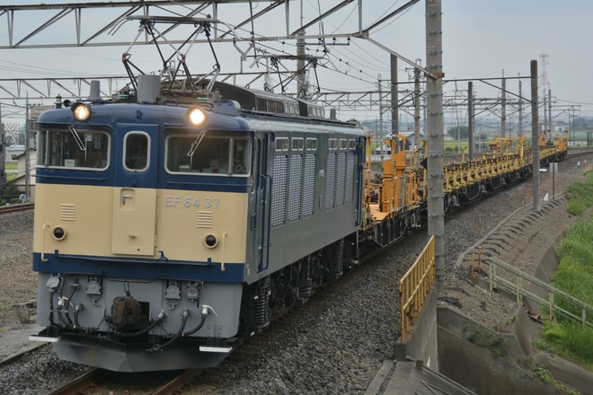 【JR東】EF64-37牽引 松本工臨運転を吉川駅で撮影した写真