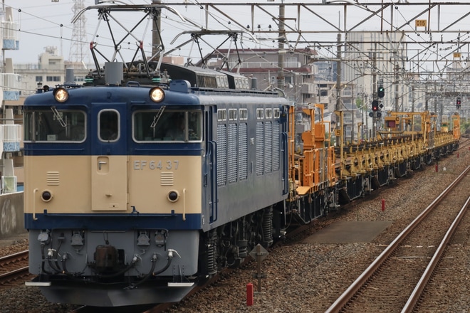 【JR東】EF64-37牽引 松本工臨運転を南流山駅で撮影した写真