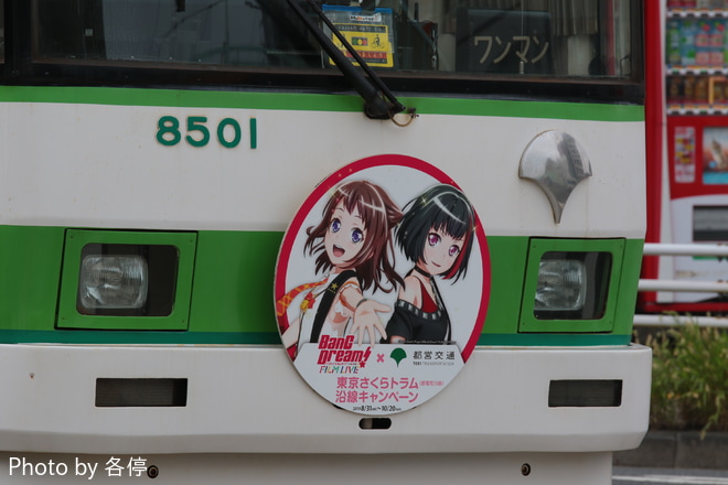 【都営】8500形8501号車“BanG Dream! FILM LIVE! ✕ 都営交通”ヘッドマーク掲出を飛鳥山停留所付近(歩道より撮影)で撮影した写真