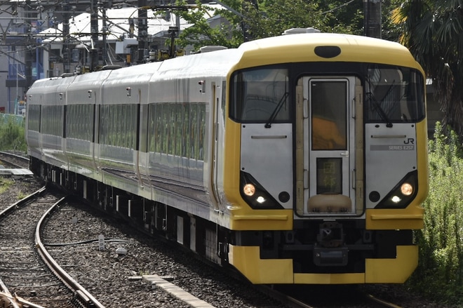 【JR東】E257系500番代使用臨時列車運転を中山駅で撮影した写真
