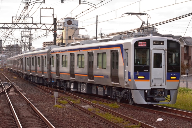 【南海】8300系8312F+8713F　千代田工場へ回送を白鷺駅で撮影した写真