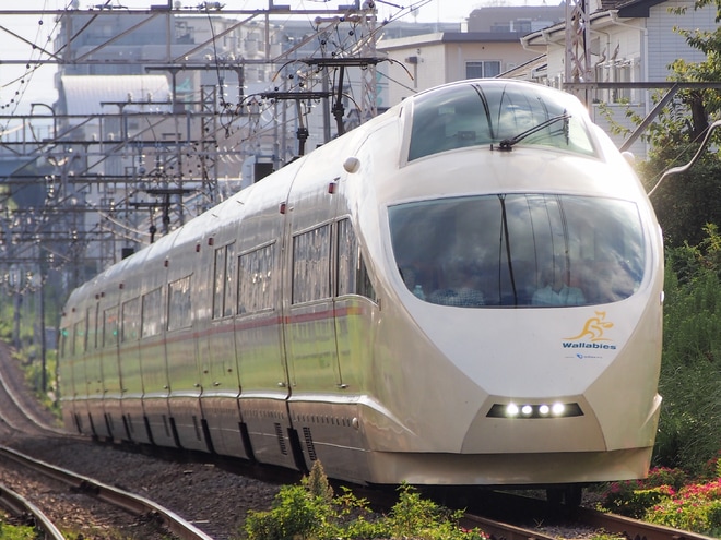 【小田急】50000形VSE50001Fが「ワラビーズ」号仕様にを伊勢原駅で撮影した写真