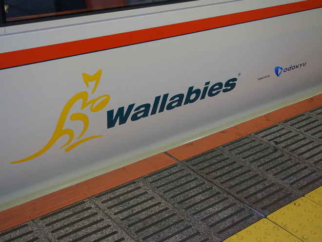 【小田急】50000形VSE50001Fが「ワラビーズ」号仕様にを町田駅で撮影した写真