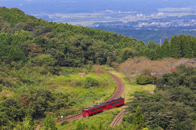 【JR九】キハ185九州縦断特急で鹿児島へを大畑駅付近で撮影した写真